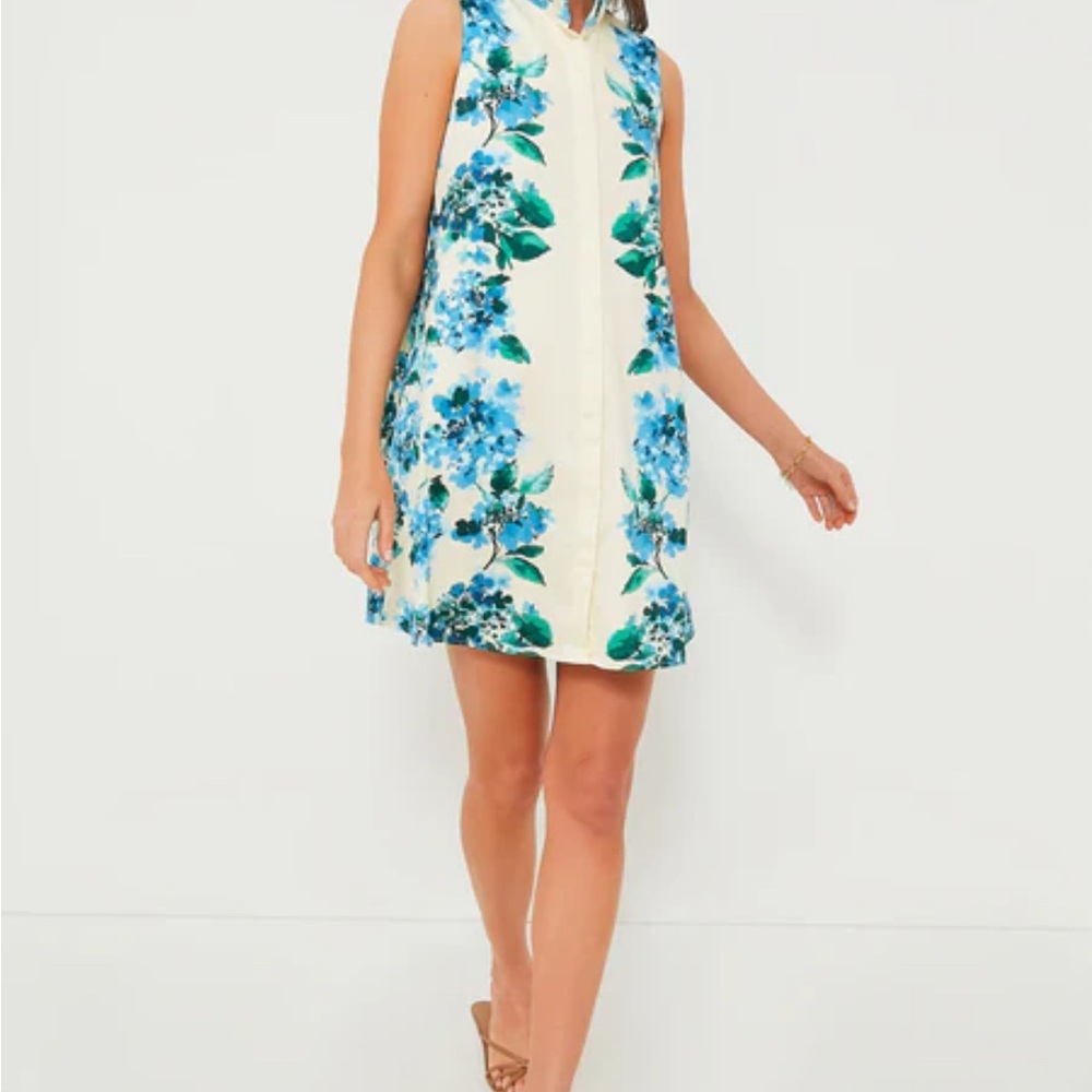 Tuckernuck Blue Water’s Edge hydrangea Charlie dress mini pockets floral SMALL